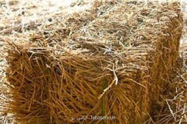 وزارت جهاد كشاورزی برای تأمین بموقع علوفه برنامه ریزی كند