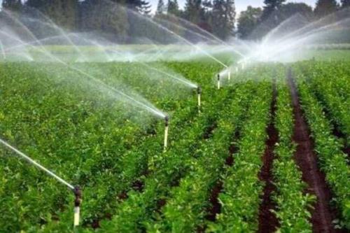 هوشمندسازی مزارع، کلید عبور از بحران آب و افزایش راندمان کشاورزی ایران