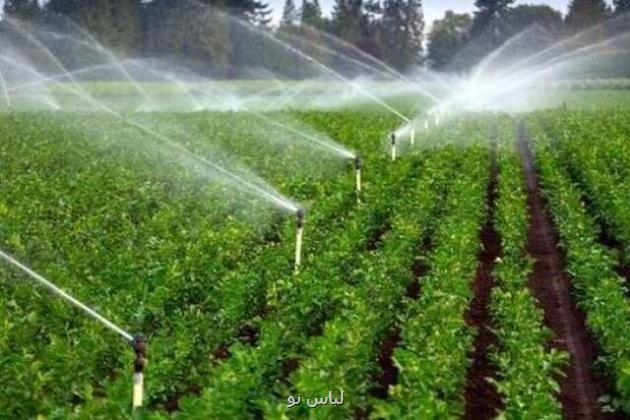 هوشمندسازی مزارع، کلید عبور از بحران آب و افزایش راندمان کشاورزی ایران