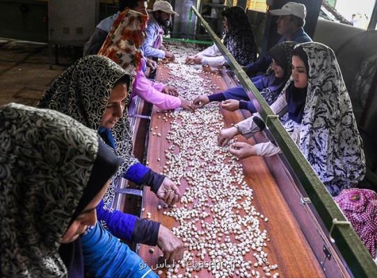 سه طرحی كه اشتغال روستا را رونق می دهد
